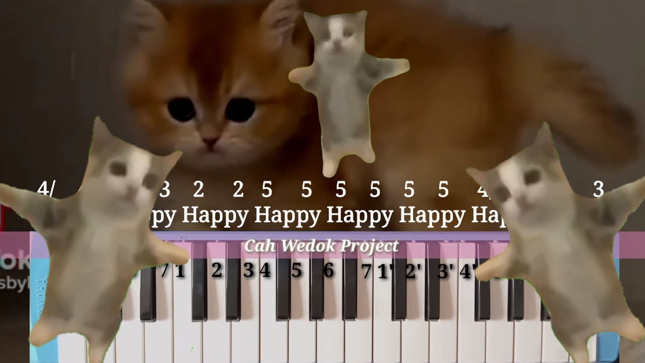 Happy happy cat песня. Happy Happy Happy Cat Мем. Happy Happy Happy Cat песня. Happy Song Cat. Хаппи Хаппи Хаппи Мем.