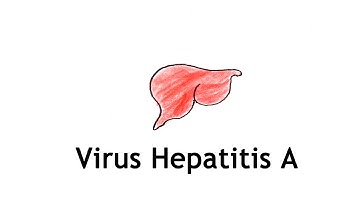 Virus Hepatitis A