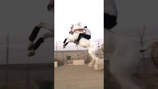 الخيل من خيالها🔥👏🏻. انا وحصاني جساار ماشاء الله. خباال واكشنن🐎🔥