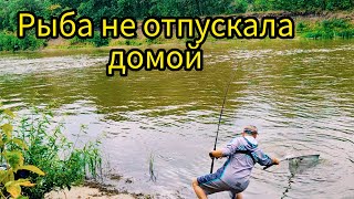 Рыбалка которую не хотелось заканчивать! Бешенный клев сазана на кукурузу + бонусный амур!