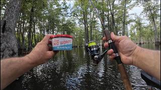 LIVE RED WORMS! Targeting Backwoods Slabs