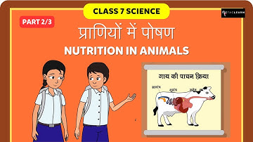 प्राणियों में पोषण | Part 2/3 | Nutrition In Animals | Class 7 Science | TicTacLearn