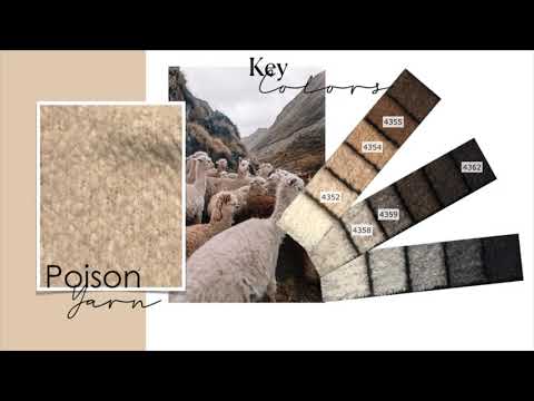 PINORI AW21 22 PRESENTATION