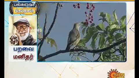 Bird man of India Salim Ali