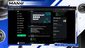 GeroWallet $GERO Recaps A Busy 2022 & My Thoughts on Their Future