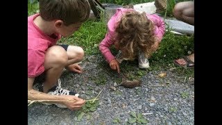 Massey Services Pest Control Dumping Rat  Poison on Property with pets and children