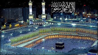 بث مباشر تلاوة من القران الكريم لتهدئة النفس وراحة البال screenshot 4