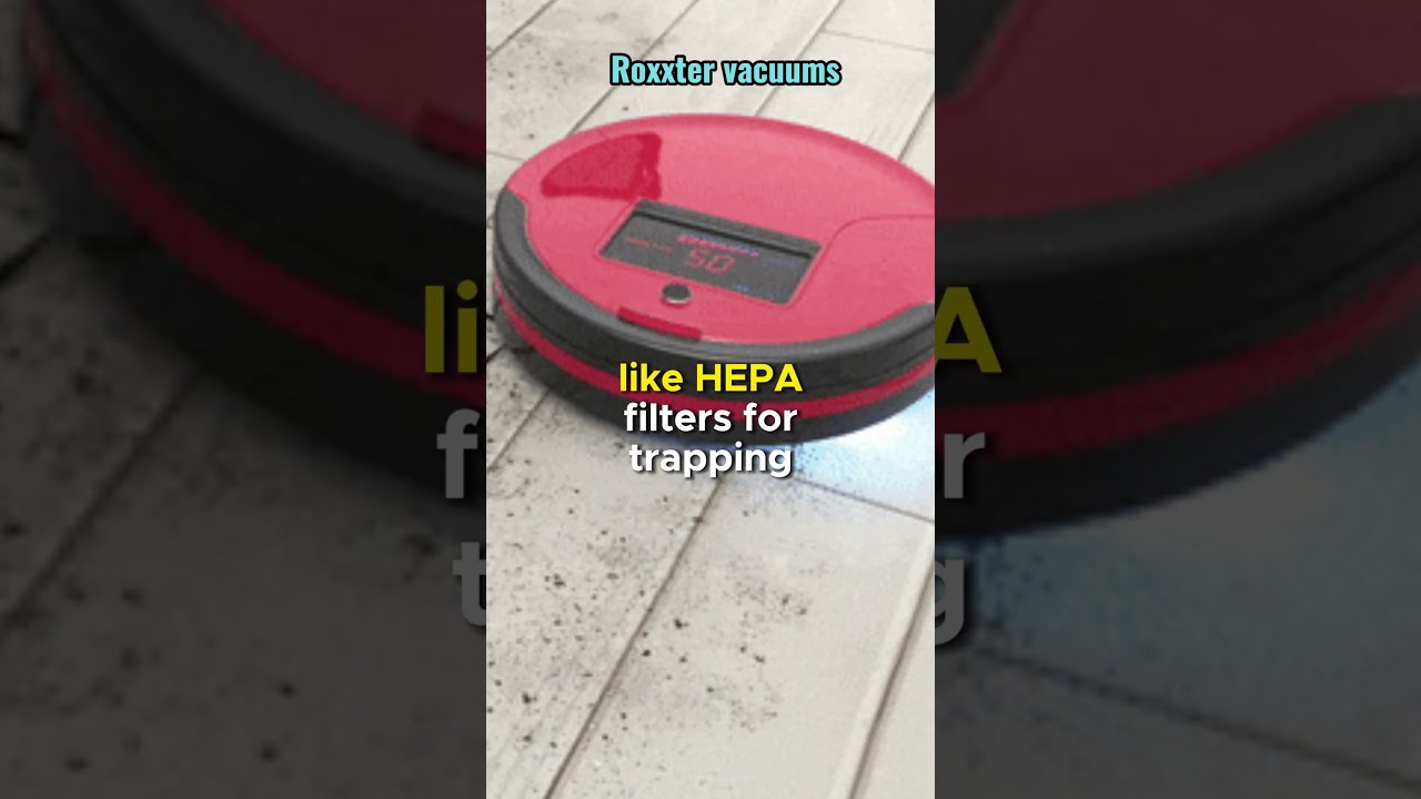 What can Roxxter vacuum do? 