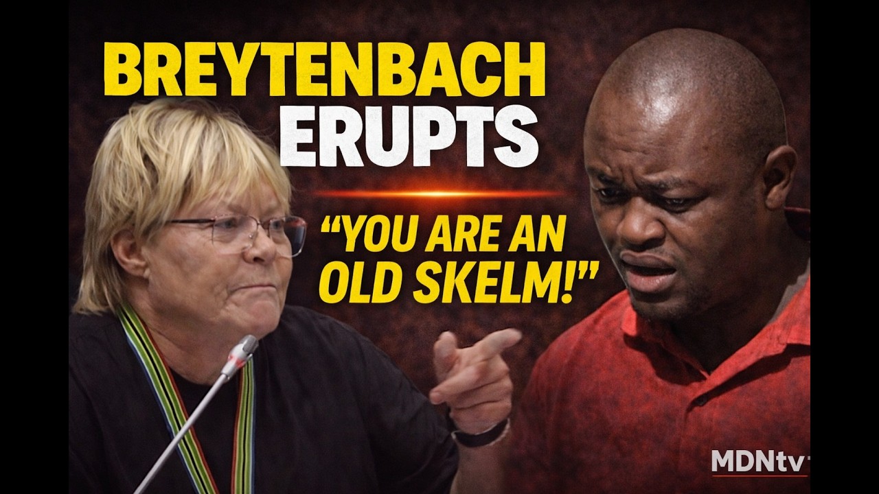 Брейтенбах допрашивает Могоци по поводу судимости и обвинений в «профессиональной лжи» | Специаль...