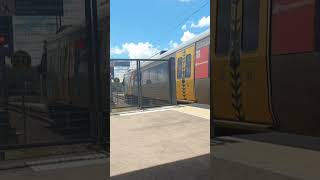 Springfield Central NGR 749 Arriving Petrie, 22/2/26. #trendingshorts #shorts