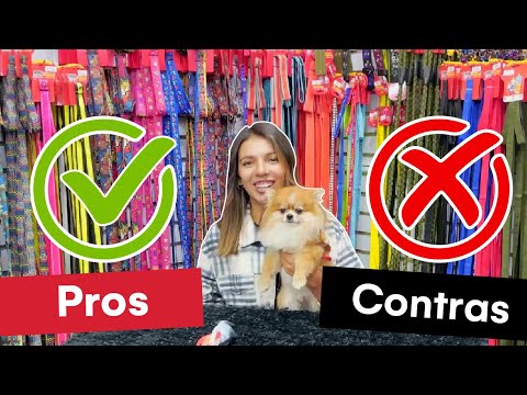 Vídeo: Mascota: Pros I Contres