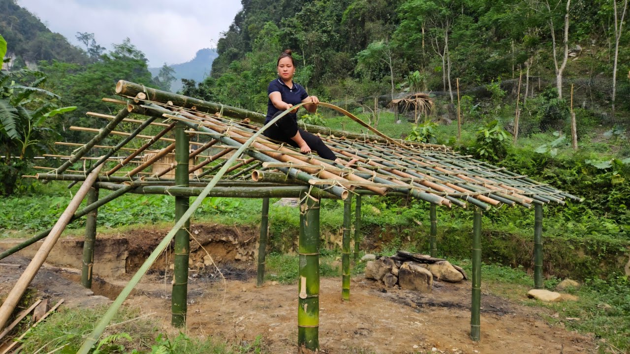 Build Bamboo House New For Bird   Daily life Life with nature Life Farm L Th Ca