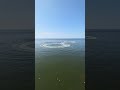 Scheveningen sea