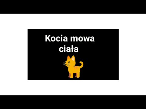 Wideo: Jak zrozumieć język kota