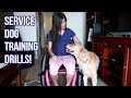 Training My Service Dog with My New Wheelchair ♿🐾 (11/4/17)