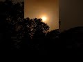 #sunsetlovers #astheticvibes  #NatureAesthetic #Cinematic #Scenery #Visuals #peacefulvibes