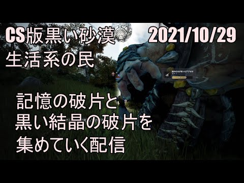 楽しいよps4黒い砂漠 10 29記憶の破片と黒い結晶の破片を集めていく配信 ご質問などあればぜひ Youtube