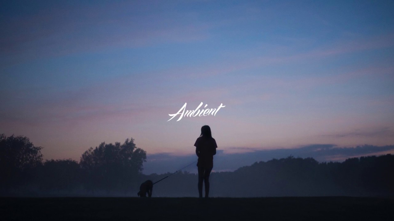 Nadav Cohen - Surround