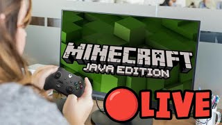 Beating Minecraft Java With a Controller LIVE