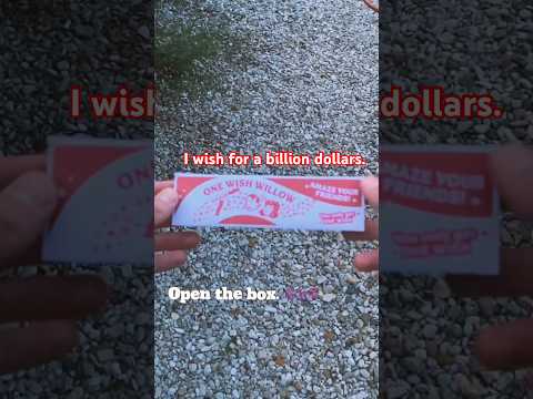 I wish for a billion dollars. #tiktok #youtubeshorts #shortsvideo #obsession #shorts #movies