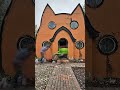 This Cat House Glow Up is Satisfying 🐱🛠️ #shorts