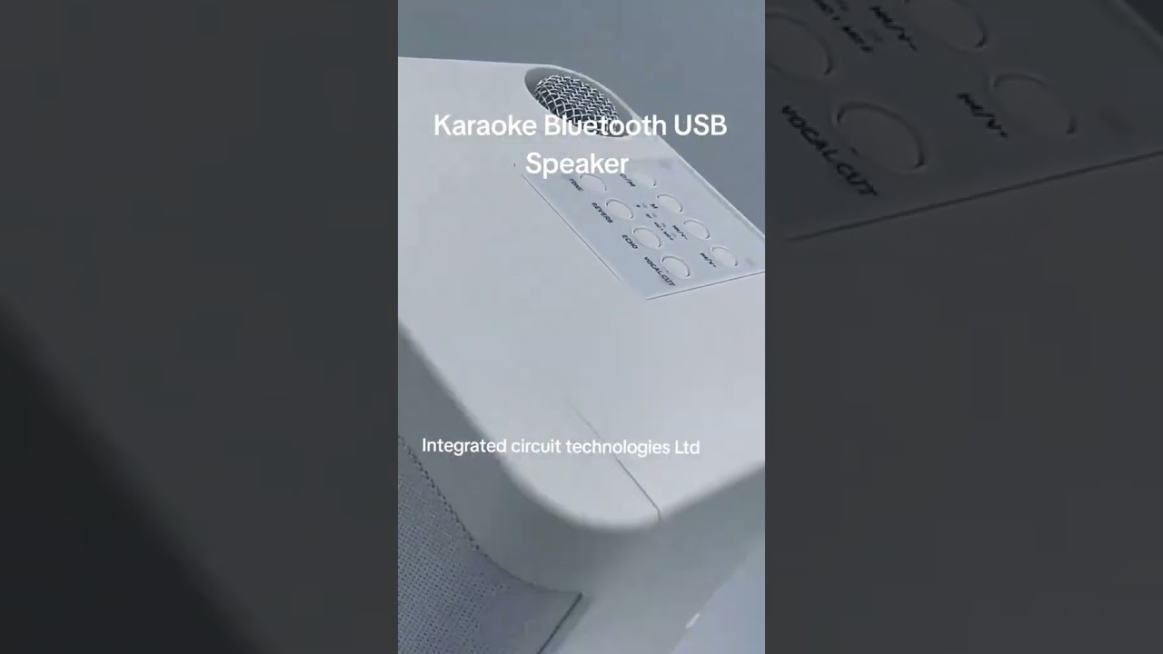 Music Speaker With Wireless Microphone