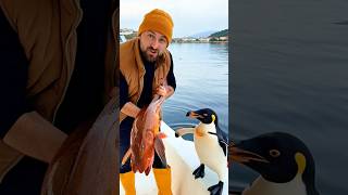 Penguşu Araysanız Bizim Tayfa Ya Eklendi Şfet