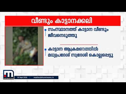 ഇടുക്കിയിൽ വീണ്ടും കാട്ടാനക്കലി; ശാന്തൻപാറയ്ക്ക് സമീപം മധ്യപ്രദേശ് സ്വദേശി കൊല്ലപ്പെട്ടു
