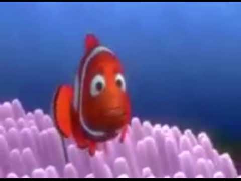 Finding Nemo:Barracuda attack