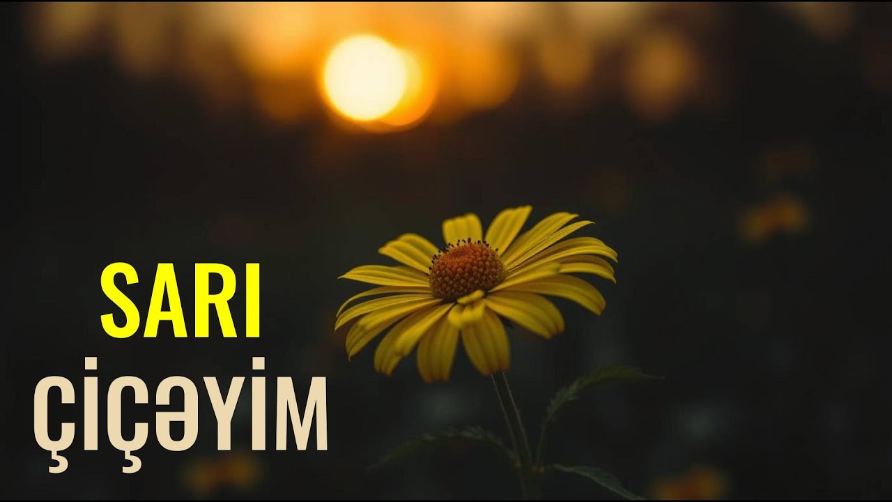 SARI ÇİÇƏYİM 2025 | Synthwave Version | AI Cover