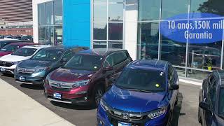 McGovern Honda e