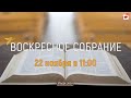 Воскресное собрание 22 ноября 2020