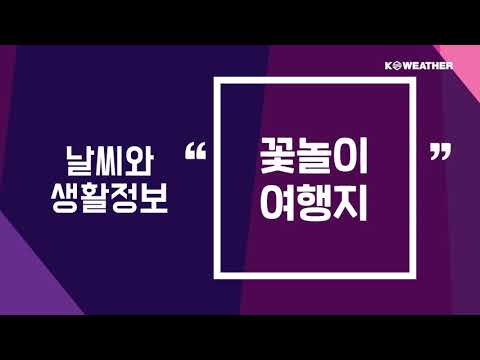 [날씨] 2월19일_꽃놀이 여행지
