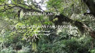 Ciri-ciri Tumbuhan Paku-pakuan