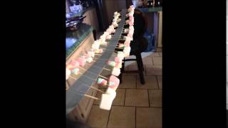 HARMONY STEM PBL - MARSHMALLOW WAVE MACHINE