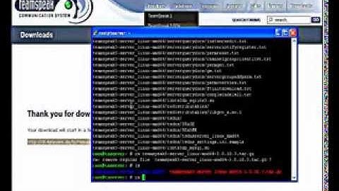 [Návod]Ako spraviť Teamspeak3 server na OS linux debian[TS3]