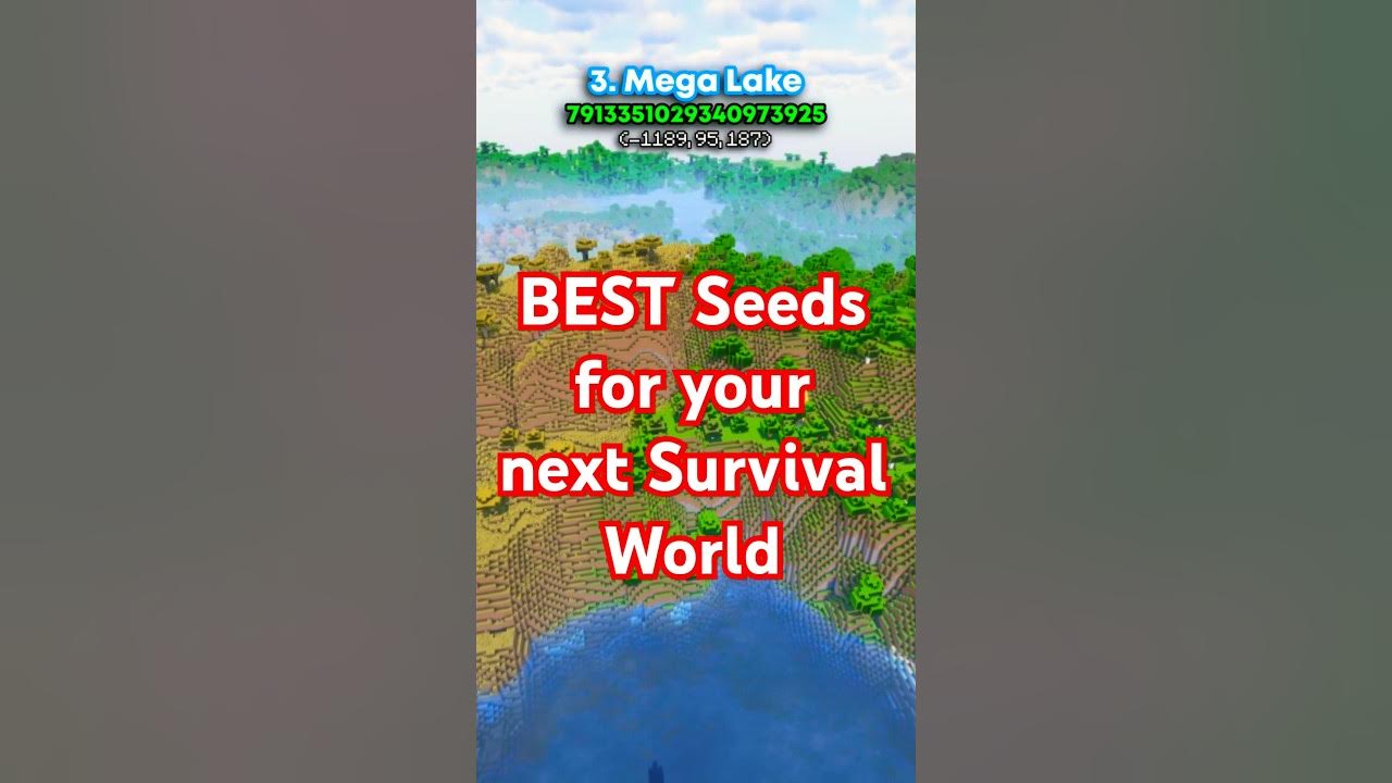 The Coolest Minecraft Seeds for Bedrock & Java (watch until the end) The Coolest Minecraft Seeds for Bedrock & Java (watch until the end)