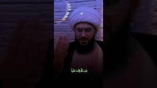 الشيخ امير القريشي/ محمد بن أبي بكر رضوان الله عليه ولعنه الله على ابيه