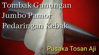 Tombak Gunungan Pamor Pedaringan Kebak Sepuh Istimewa