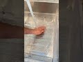 https://urlgeni.us/amazon/RAYMIN #springcleaning #refrigerator #cleaning #asmrsounds