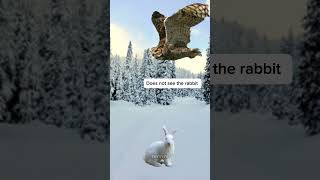 Darwinian Evolution(Simplified) #animals #biology #science #sciencefacts #evolution #shorts
