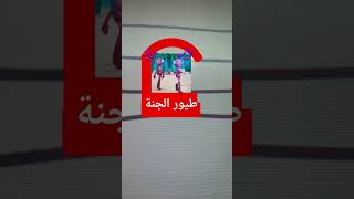 طيور الجنة Toyor Al Janah My Best Channel Antiks