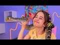 Middle of video