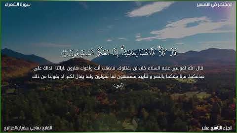 القارئ بعاجي سفيان