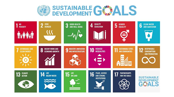 SDG Logo animation for Kaduna State BPC