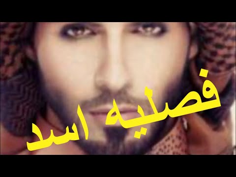 قصه فصليه اسد كامله القصه بالتعليق المثبت