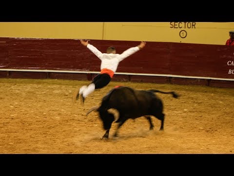 Video: Ar bulių kautynės yra sportas?