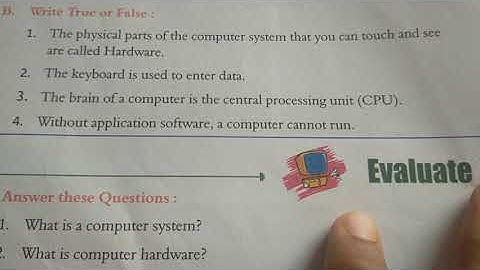 Computer Class 3 Chapter 2 True or False