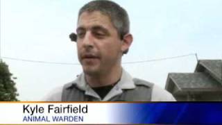 Animal Control Officer Attacked By Lab Mix