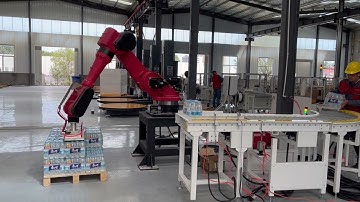 Robot Palletizer 6 Axis Robotic Palletizing Robot Arm Pick And Place Robots